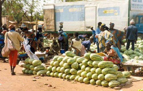 bamako melons