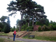 The former gardens of Jackwood House