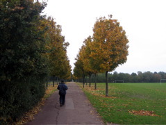 Autumn in Beckton District Park