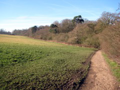 Enfield Chase