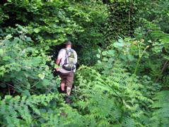 Tom Moreton in the Undergrowth