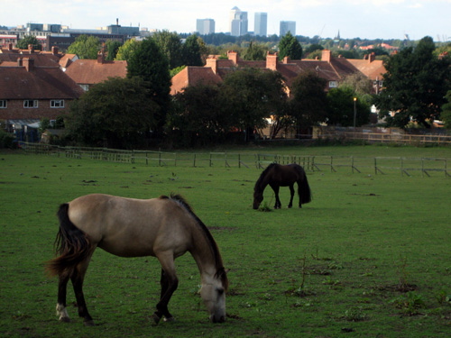 Eltham Horse and Canary Wharf