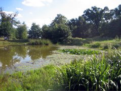 Barn Hill Pond