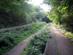 The Parkland Walk - Abandoned Platforms