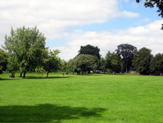 Hendon Park