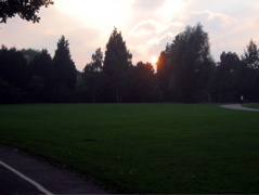 The Sun gets Low in Cator Park