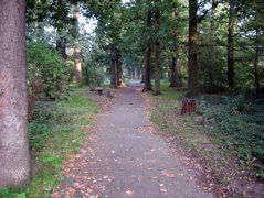 The Downham Woodland Walk