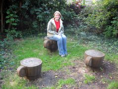 Teacups in the Wood