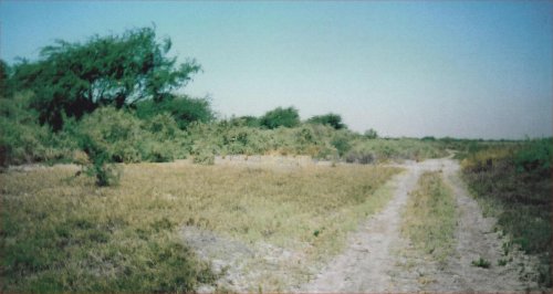 wildlife park path st louis