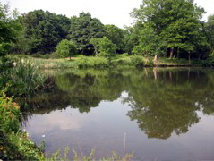 Yet another Pond