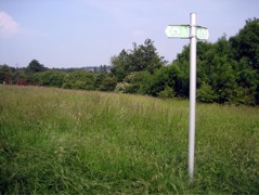 Signpost in the Field