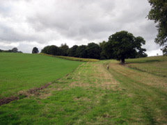 Fields near Harold Hill