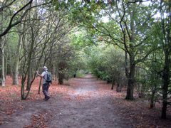Forest - Hainault Country Park