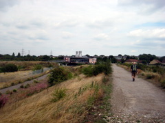 The Home Straight to Purfleet