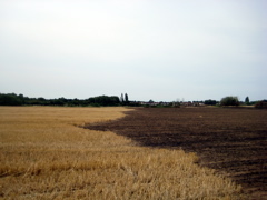 Burnt Field