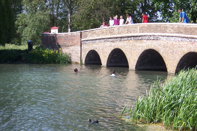 Kids swim in the River