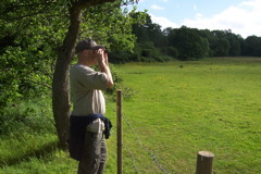 Tom looks for wild animals