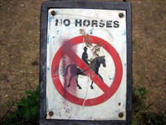 NO HORSES!!