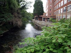 The Hogsmill in Kingston outskirts