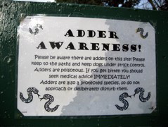 Watch Out for Adders!