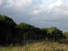 Plane over the Heath