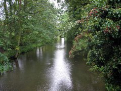 The River Longford