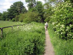 Colne Valley Way