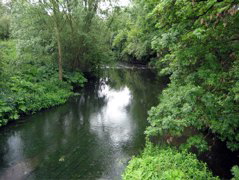 The River Crane