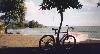 bike_on_beach.jpg